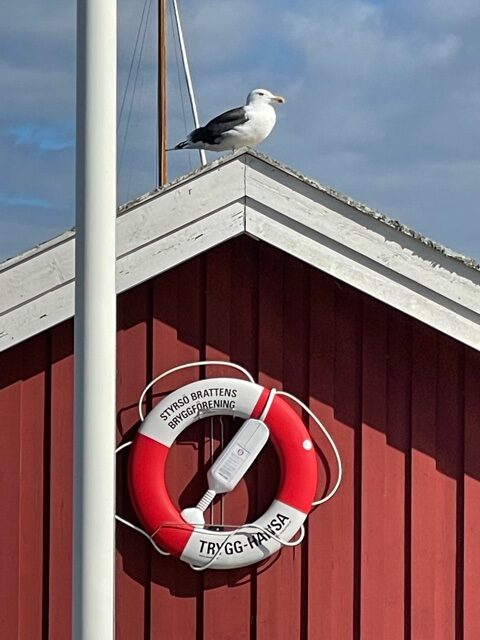 Hem - Styrsö Brattens Bryggförening